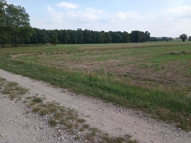 Działka budowlana Trzcianna. Zdjęcie 1