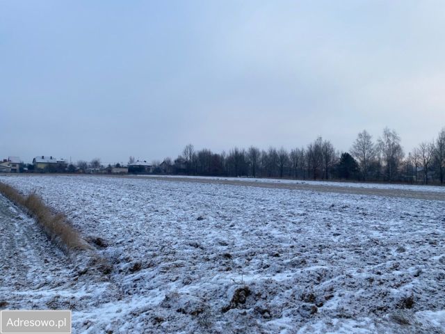 Działka budowlana Gręzów, ul. Wysoka. Zdjęcie 1