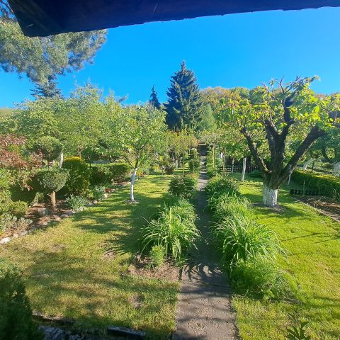 Działka rod Elbląg, ul. Marymoncka. Zdjęcie 1