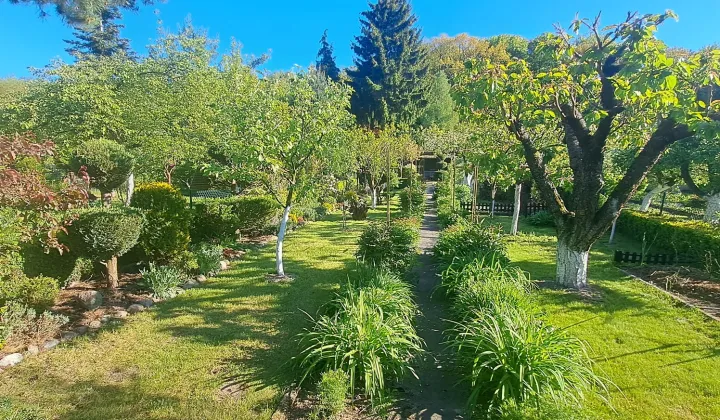 Działka rod Elbląg, ul. Marymoncka