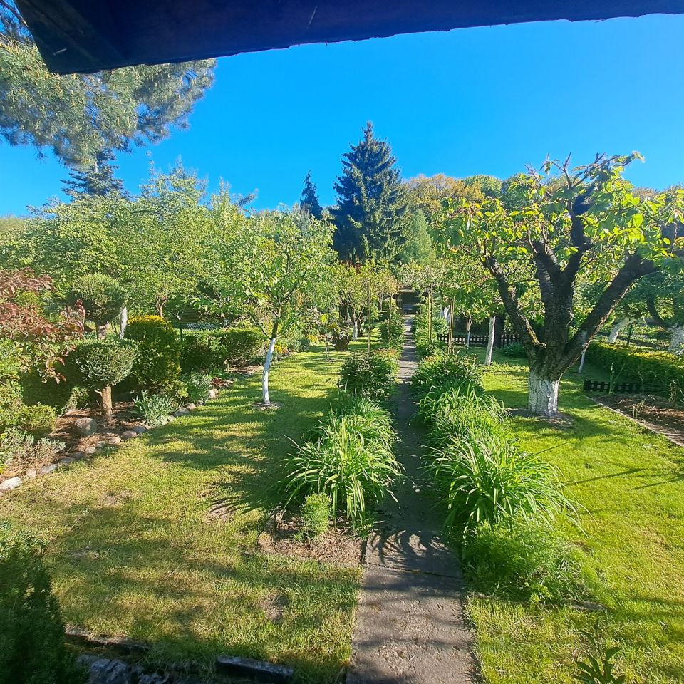 Działka rod Elbląg, ul. Marymoncka. Zdjęcie 1