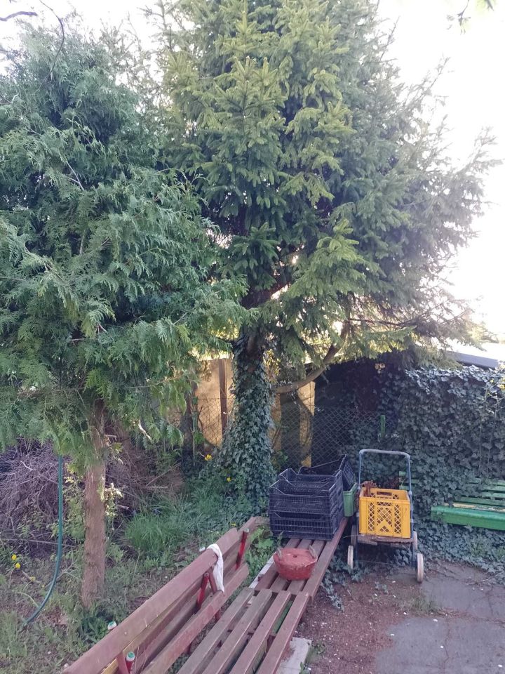 Działka rod Tczew, ul. Targowa. Zdjęcie 4