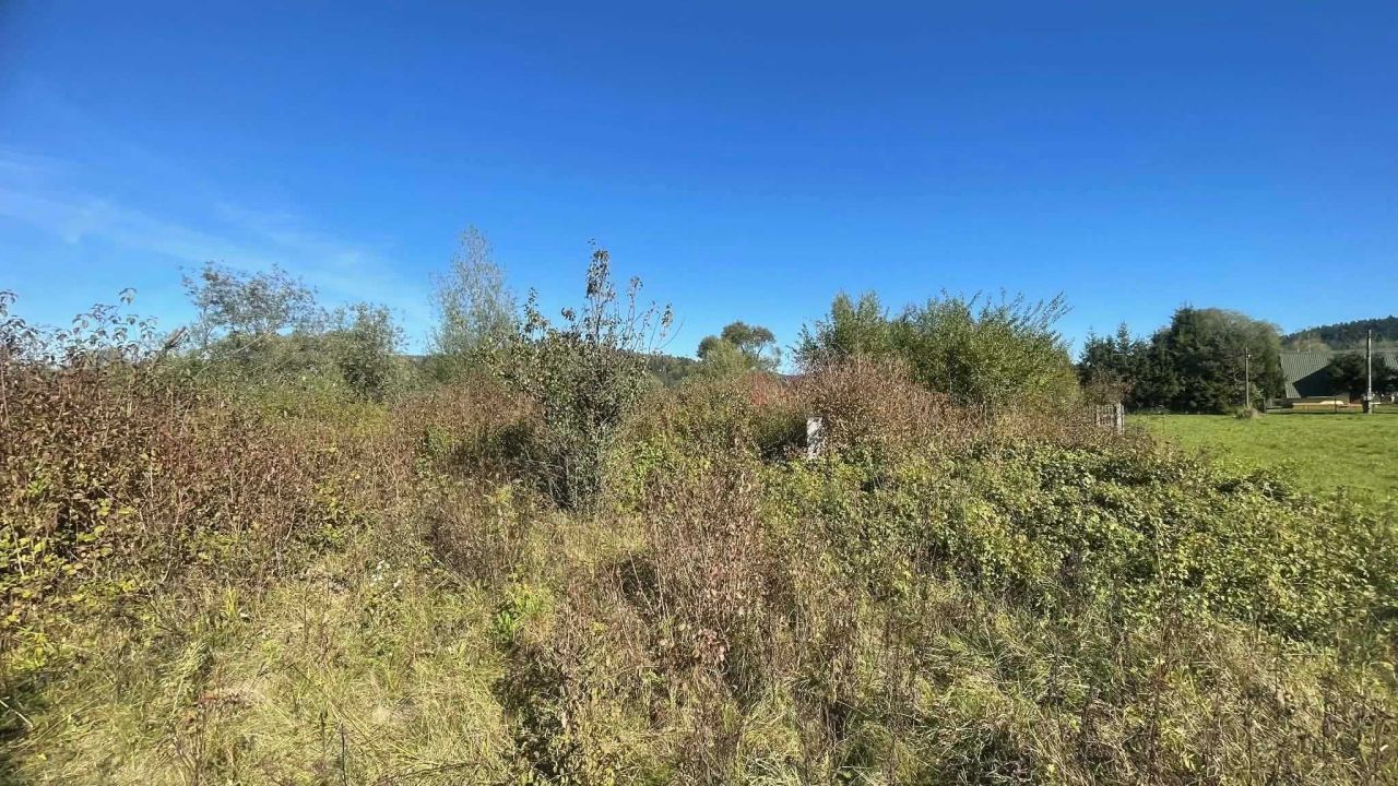 Działka rekreacyjna Temeszów. Zdjęcie 2