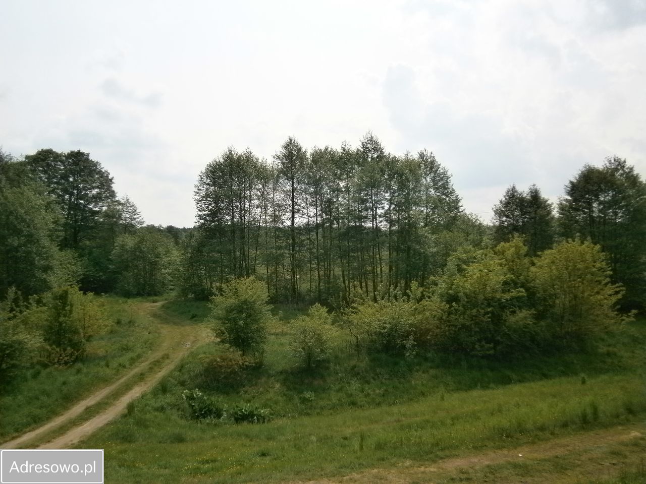 Działka budowlana Arciechów, ul. Ogólna. Zdjęcie 5