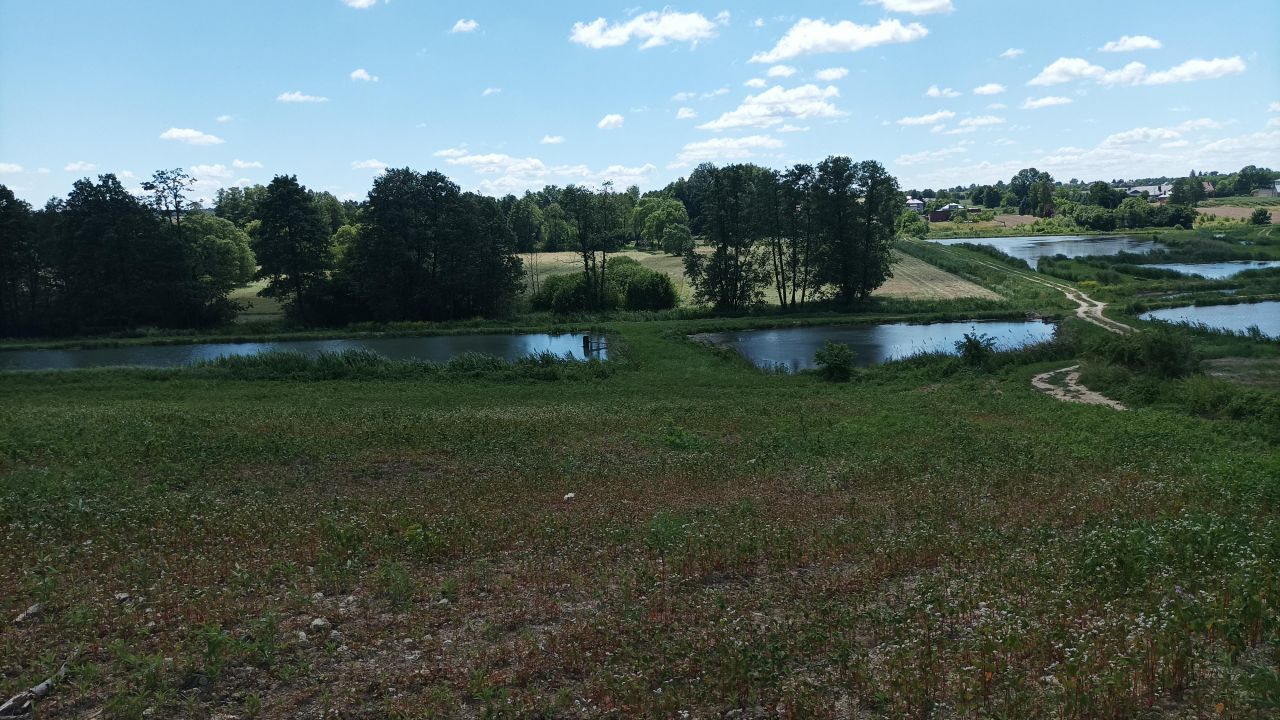 Działka rolno-budowlana Wolica-Kolonia. Zdjęcie 9