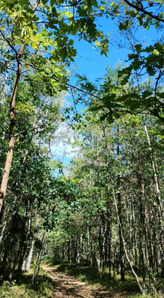 dom wolnostojący, 3 pokoje Tabor. Zdjęcie 5