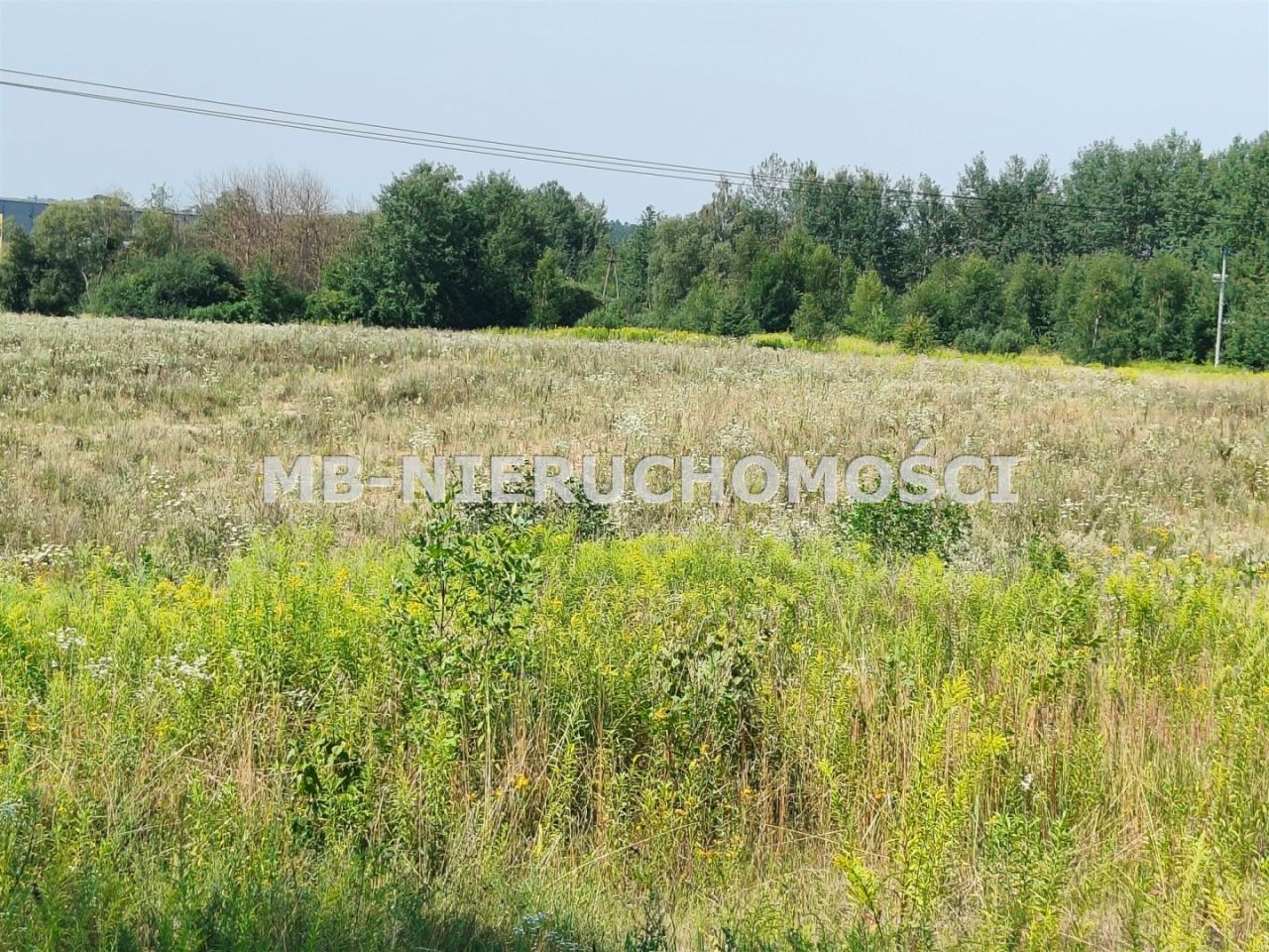 Działka inwestycyjna Barczewo. Zdjęcie 2