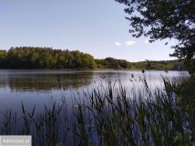 Działka rolno-budowlana Chłopowo. Zdjęcie 4