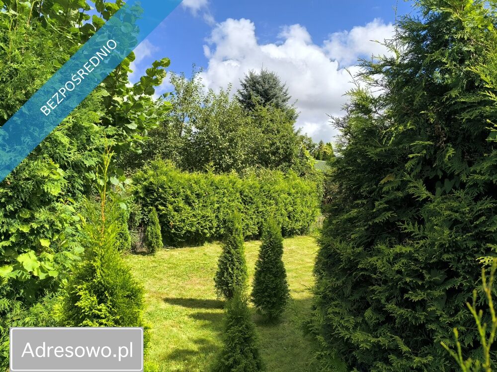 Działka rod Niekłonice. Zdjęcie 12