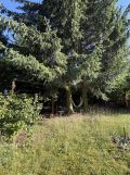Działka rod Łódź Widzew, ul. Pomorska. Zdjęcie 2