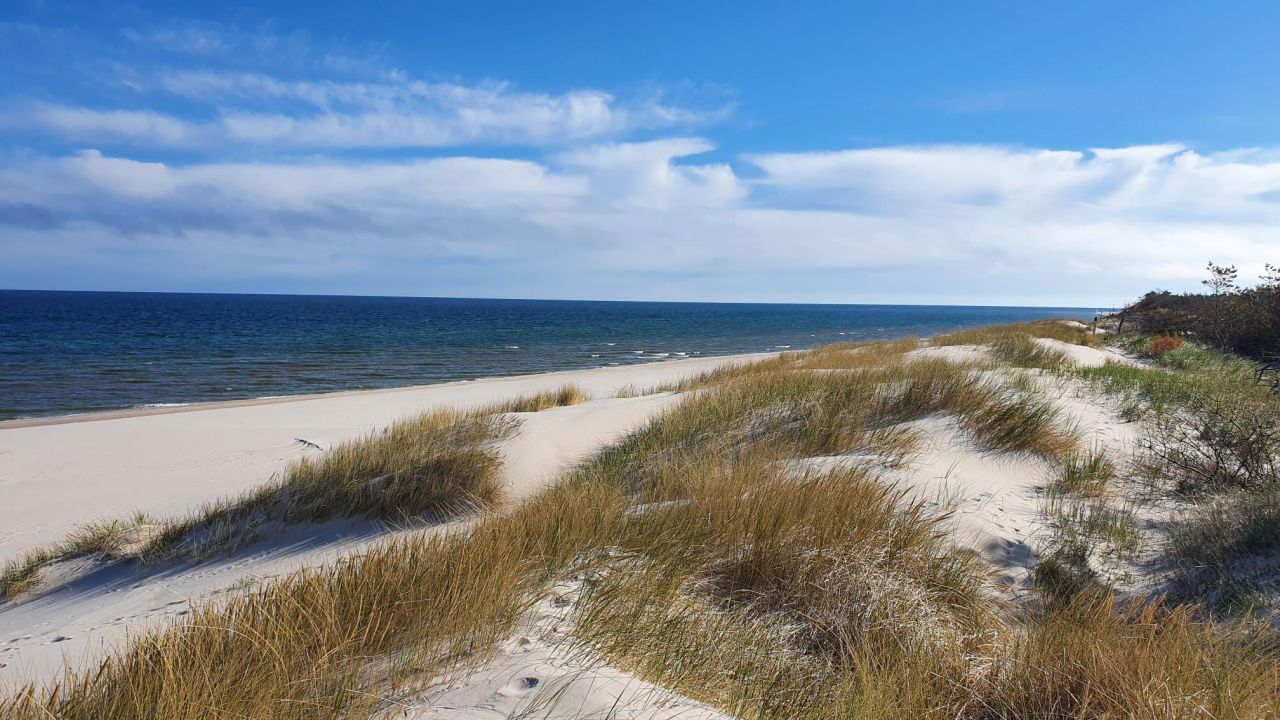 Działka rolno-budowlana Łokciowe. Zdjęcie 8