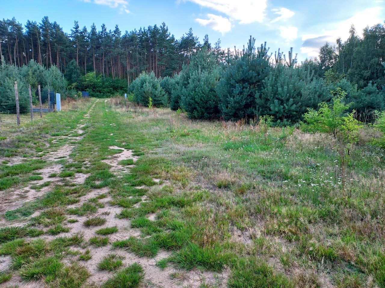 Działka budowlana Marżynek. Zdjęcie 3