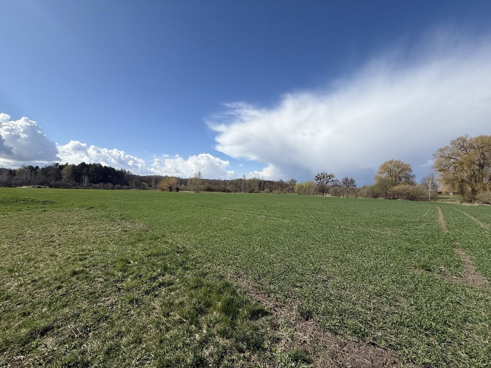 Działka rolna Petryłów. Zdjęcie 5