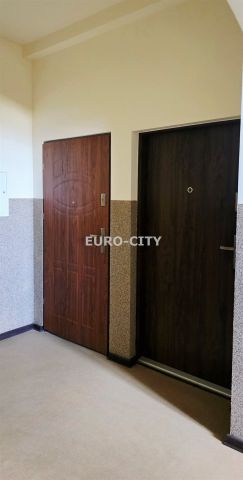 Mieszkanie 1-pokojowe Wrocław Śródmieście, ul. Ładna. Zdjęcie 12