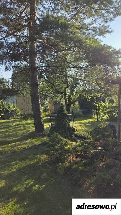 Działka rod Pruszków Żbików, ul. Poznańska. Zdjęcie 3