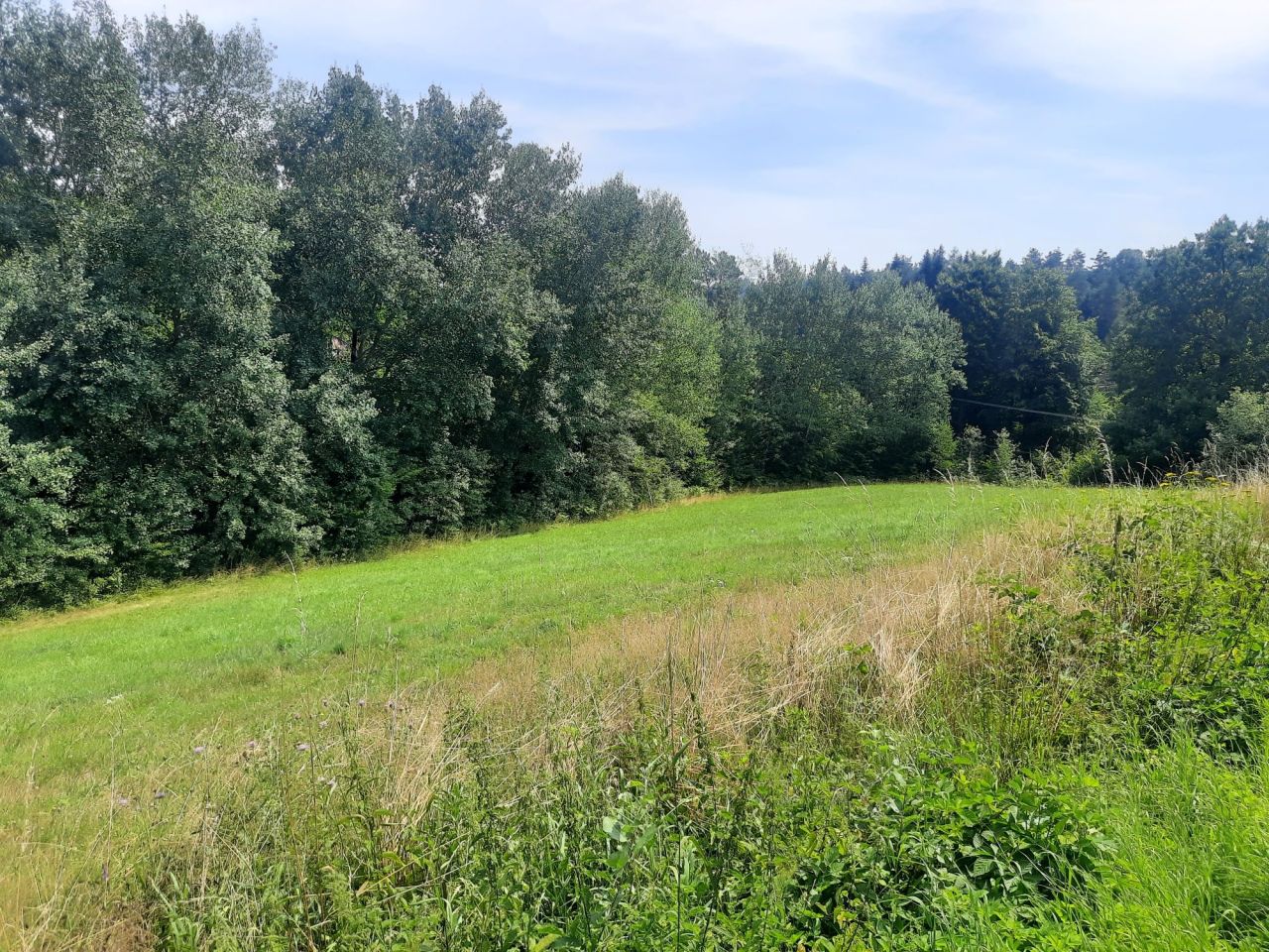 Działka budowlana Jastrzębia. Zdjęcie 8
