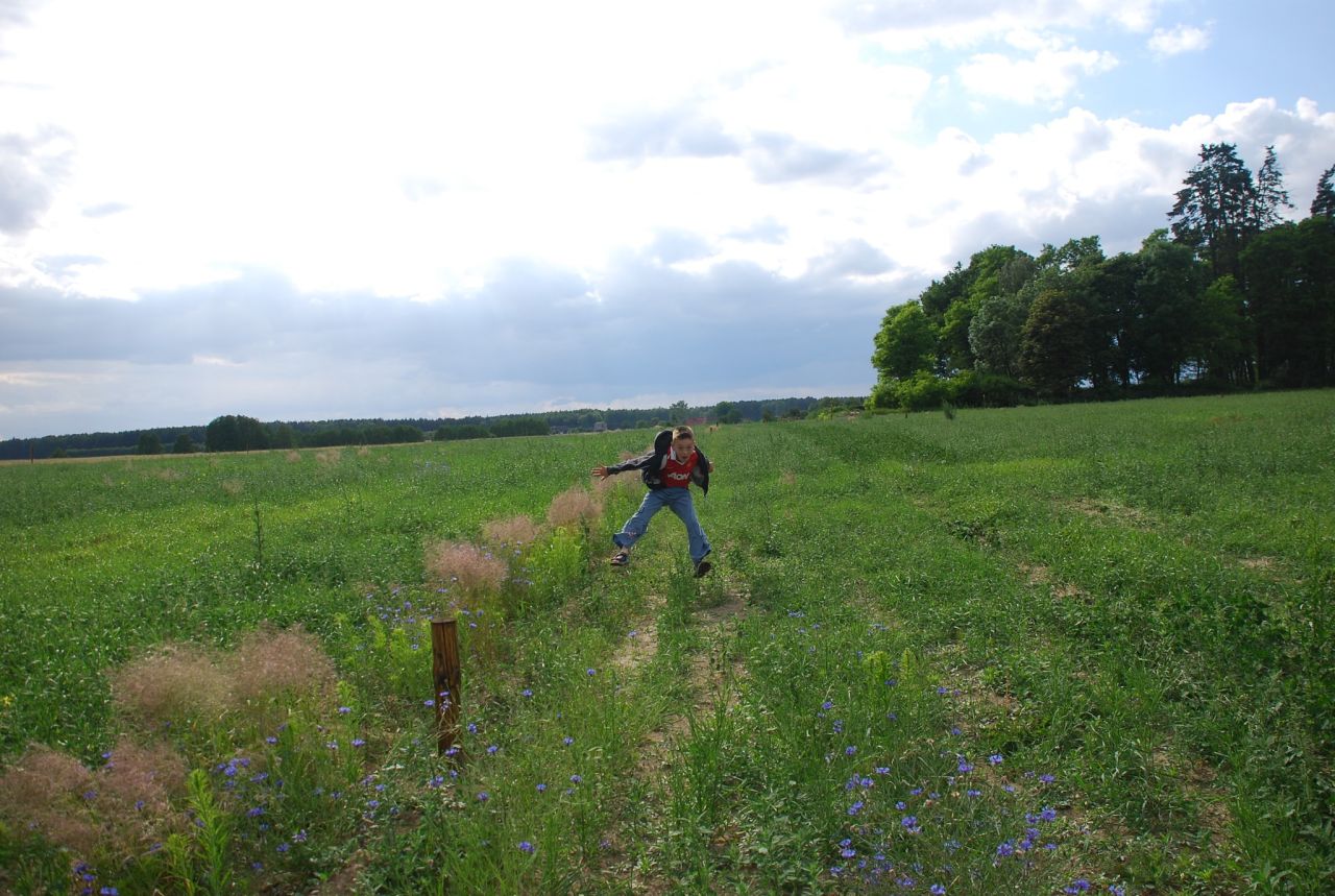 Działka budowlana Dolnik. Zdjęcie 8