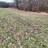 Działka budowlana Wąsowo, ul. Wschodnia. Zdjęcie 1