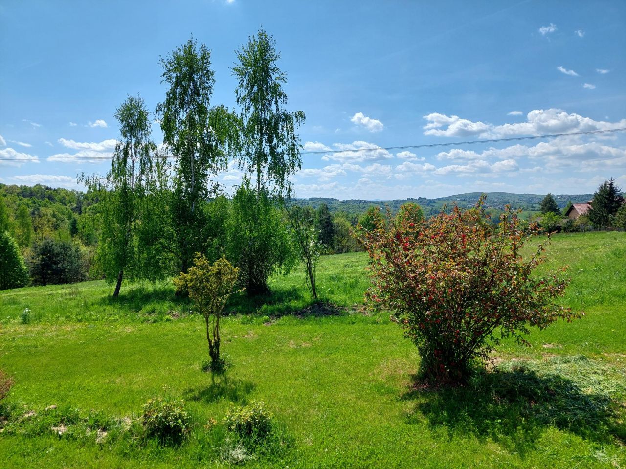 bliźniak, 2 pokoje Nieszkowice Wielkie Fiałkówka. Zdjęcie 7