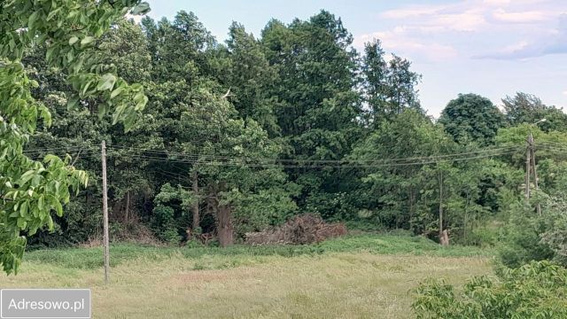Działka budowlana Boguszyce. Zdjęcie 1