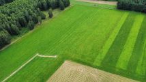 Działka rolna Rostki. Zdjęcie 4