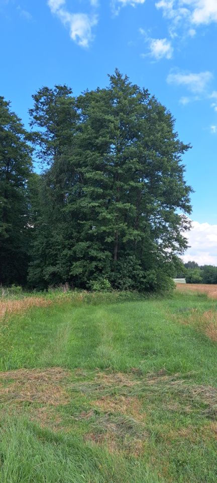 Działka inwestycyjna Budy Mszczonowskie, ul. Żwirowa. Zdjęcie 5