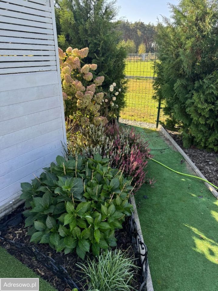 Działka rekreacyjna Starkowo. Zdjęcie 17