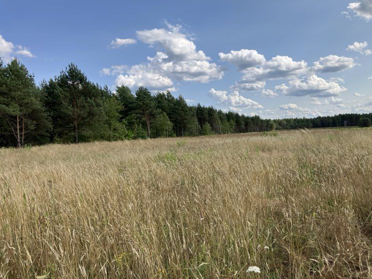 Działka rolna Krubin, ul. Jeździecka