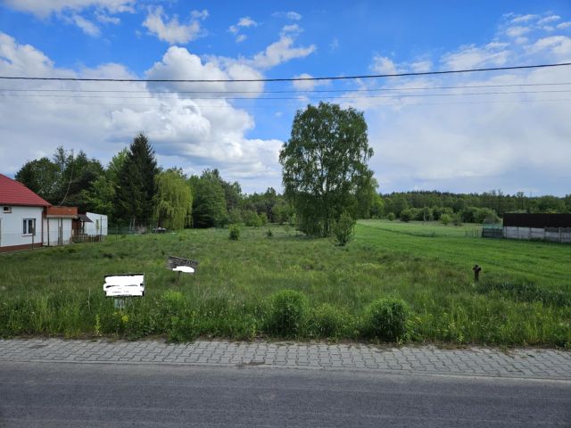 Działka rolno-budowlana Danków. Zdjęcie 1