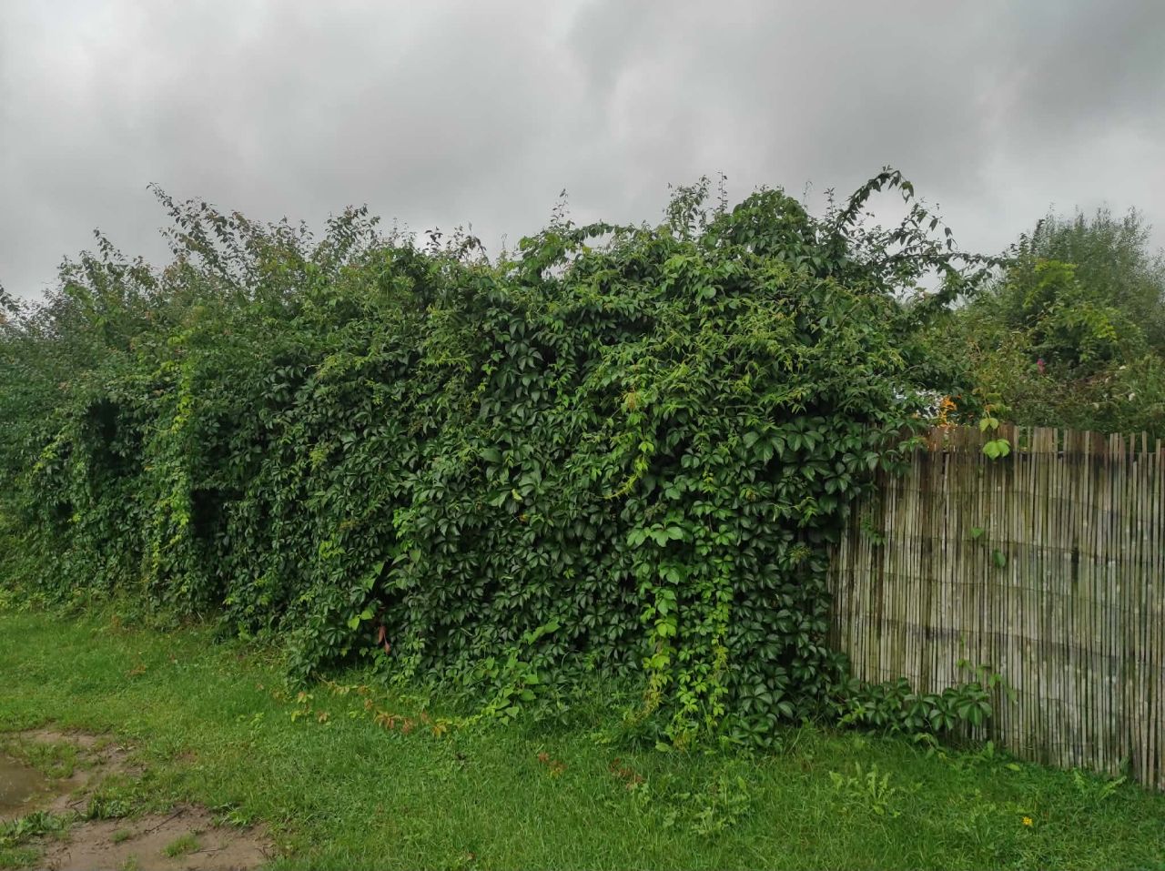 Działka rekreacyjna Jaroszowice Zbywaczówka. Zdjęcie 11