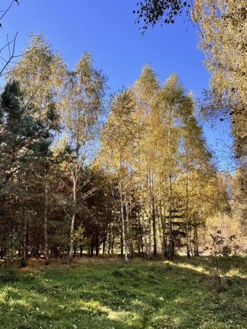 Działka rolno-budowlana Olbrachtów. Zdjęcie 1