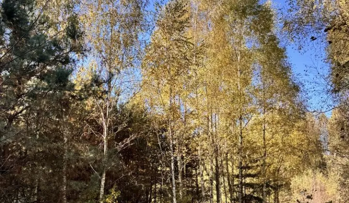 Działka rolno-budowlana Olbrachtów