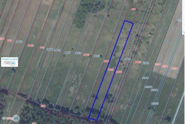 Działka rolna Kostomłoty Drugie. Zdjęcie 1