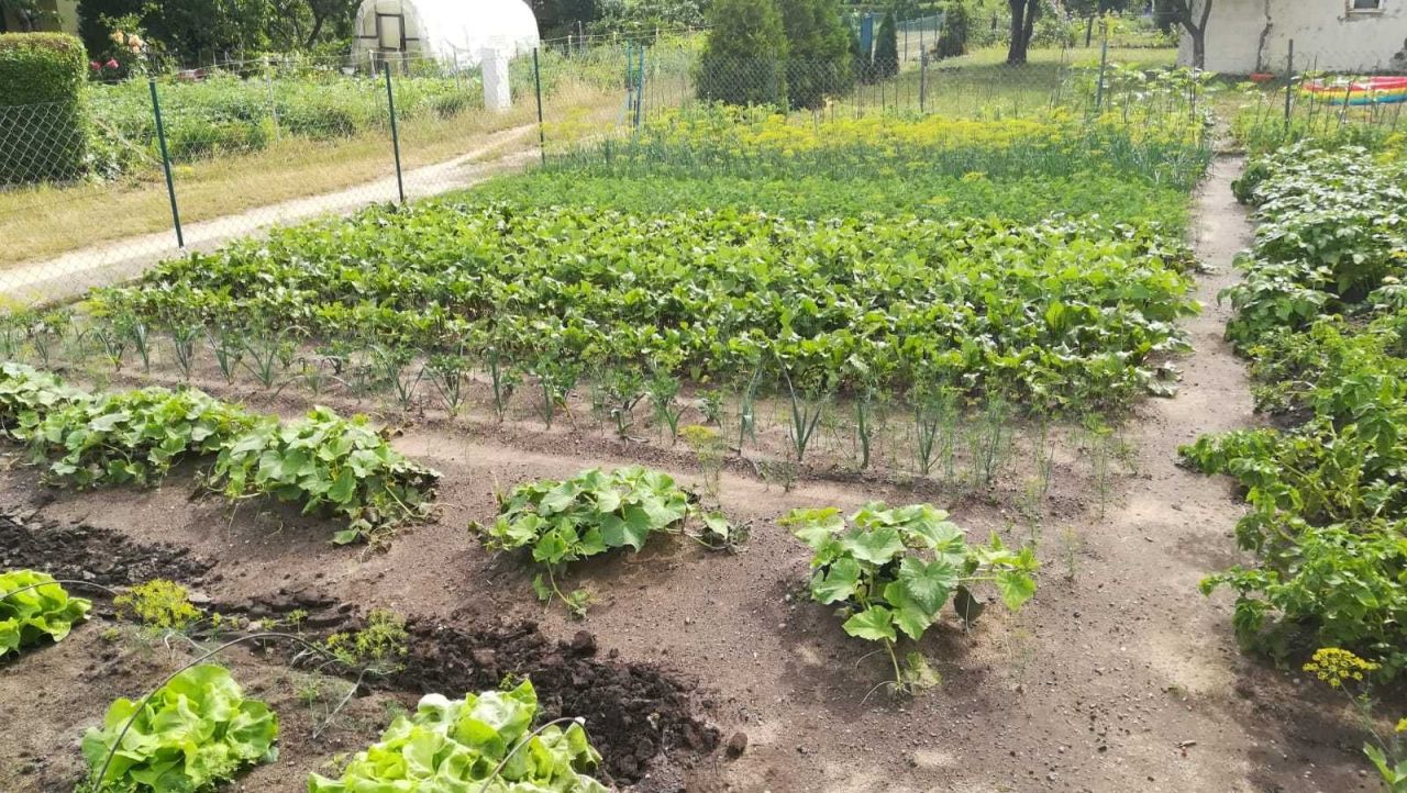 Działka rod Stargard. Zdjęcie 6