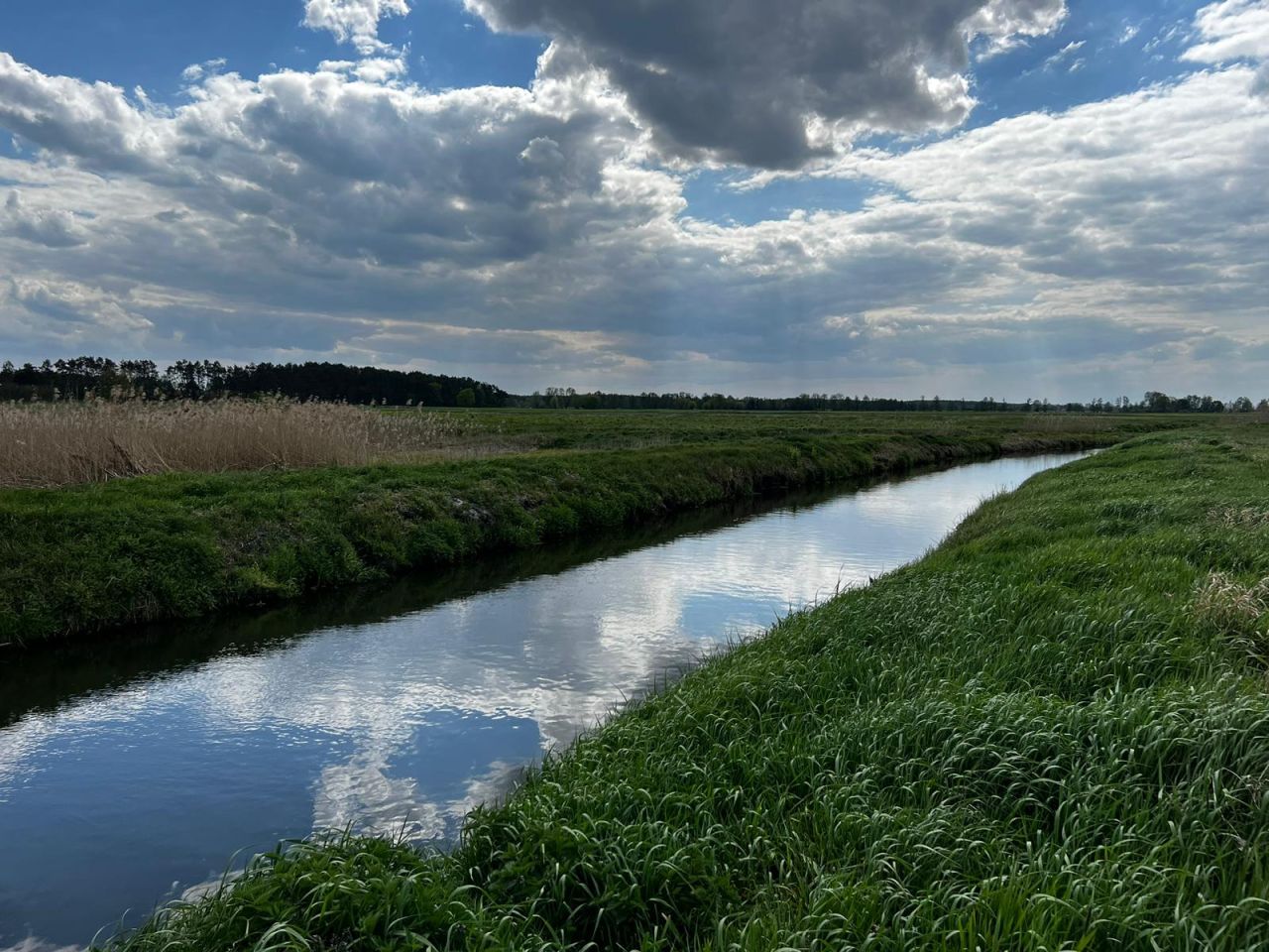 Działka rolna Kołczyn, Kołczyn. Zdjęcie 6