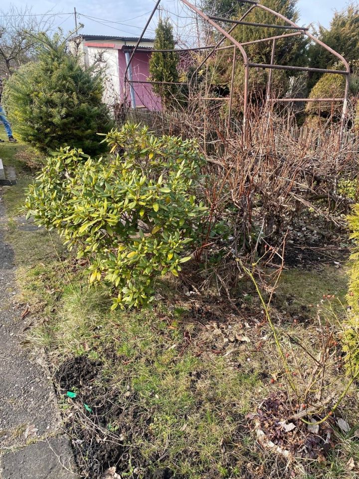 Działka rod Tychy. Zdjęcie 4