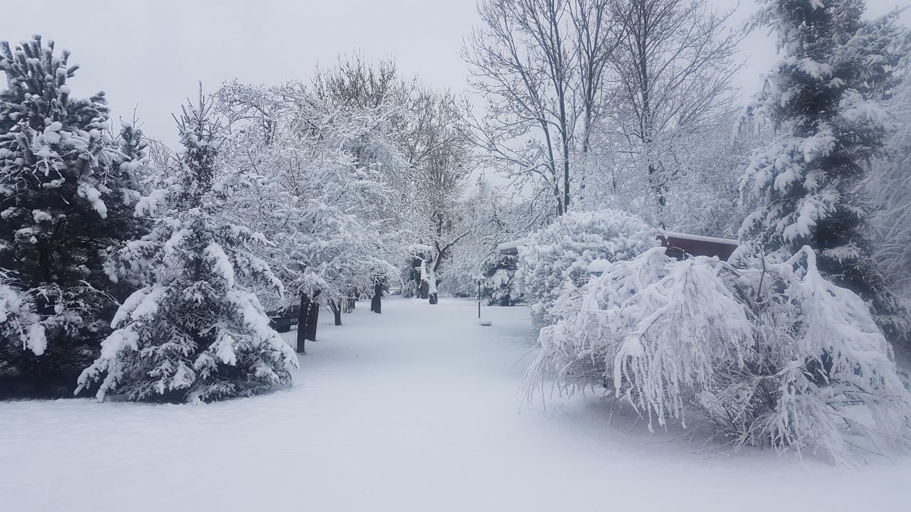 Działka budowlana Łódź Ruda Pabianicka, ul. Rafowa. Zdjęcie 15