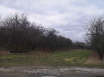 Działka rolno-budowlana Nadbrzeż. Zdjęcie 1