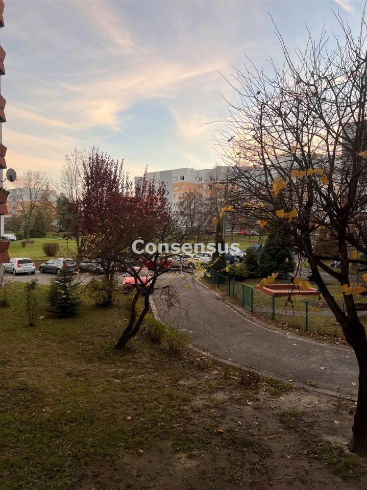 Mieszkanie 1-pokojowe Katowice Piotrowice, ul. Marcina Radockiego. Zdjęcie 23