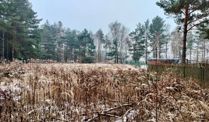 Działka budowlana Gola Wielka