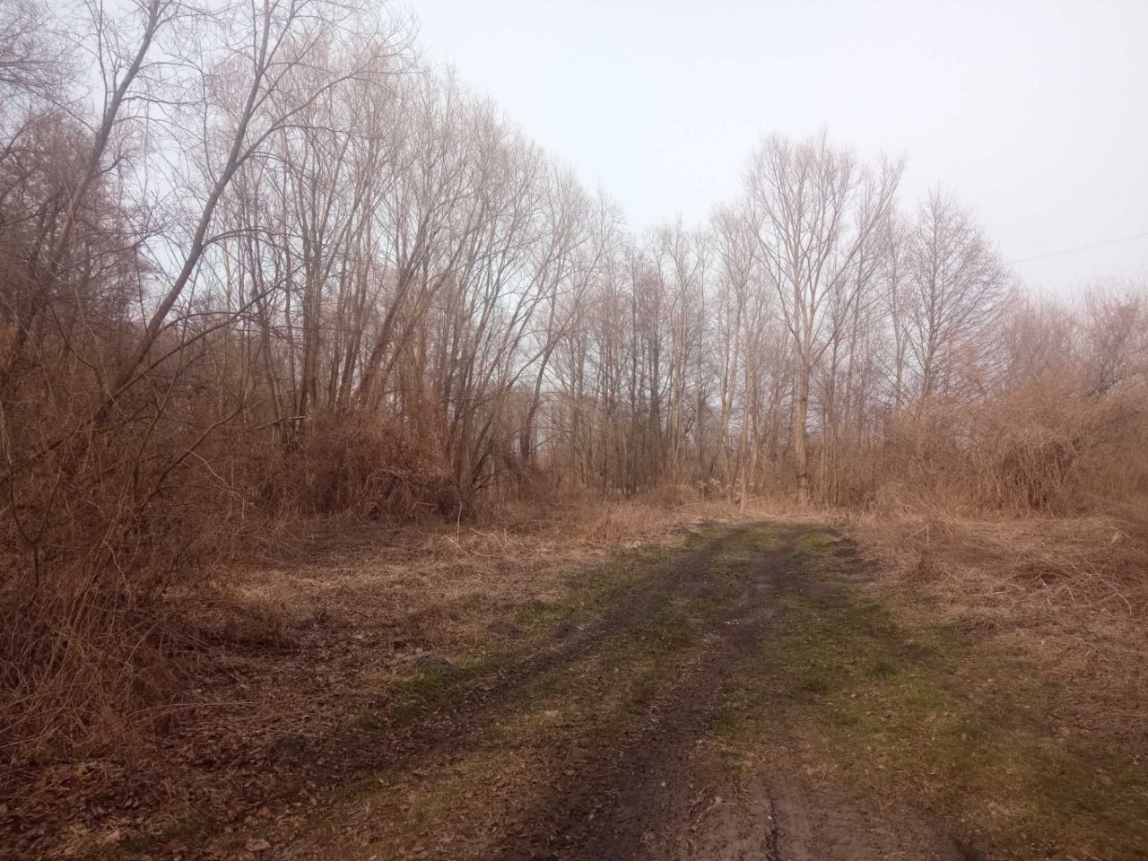 Działka rekreacyjna Kornie. Zdjęcie 6