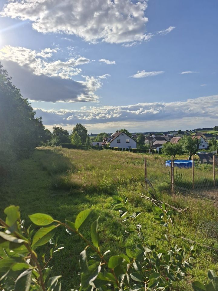 Działka inwestycyjna Widów. Zdjęcie 7