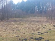 Działka rekreacyjna Miętkie. Zdjęcie 4