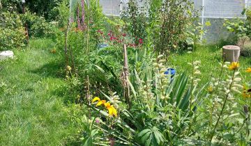 Działka rod Łomża