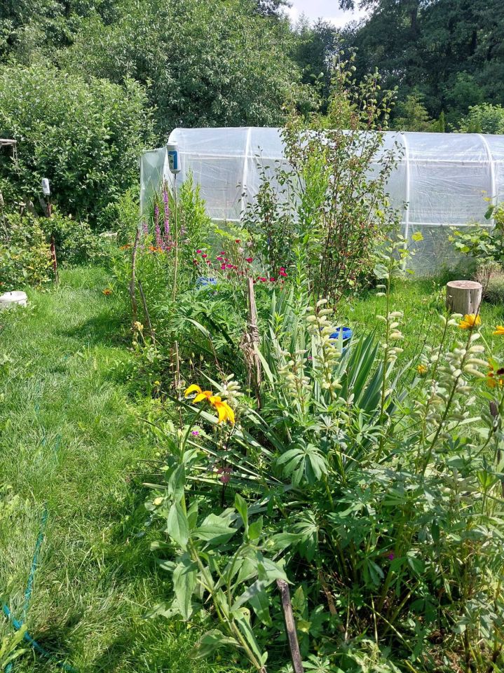 Działka rod Łomża. Zdjęcie 2