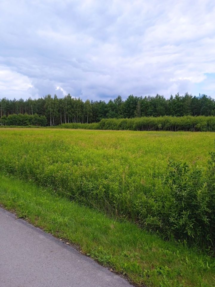 Działka rolna Przebendów. Zdjęcie 4