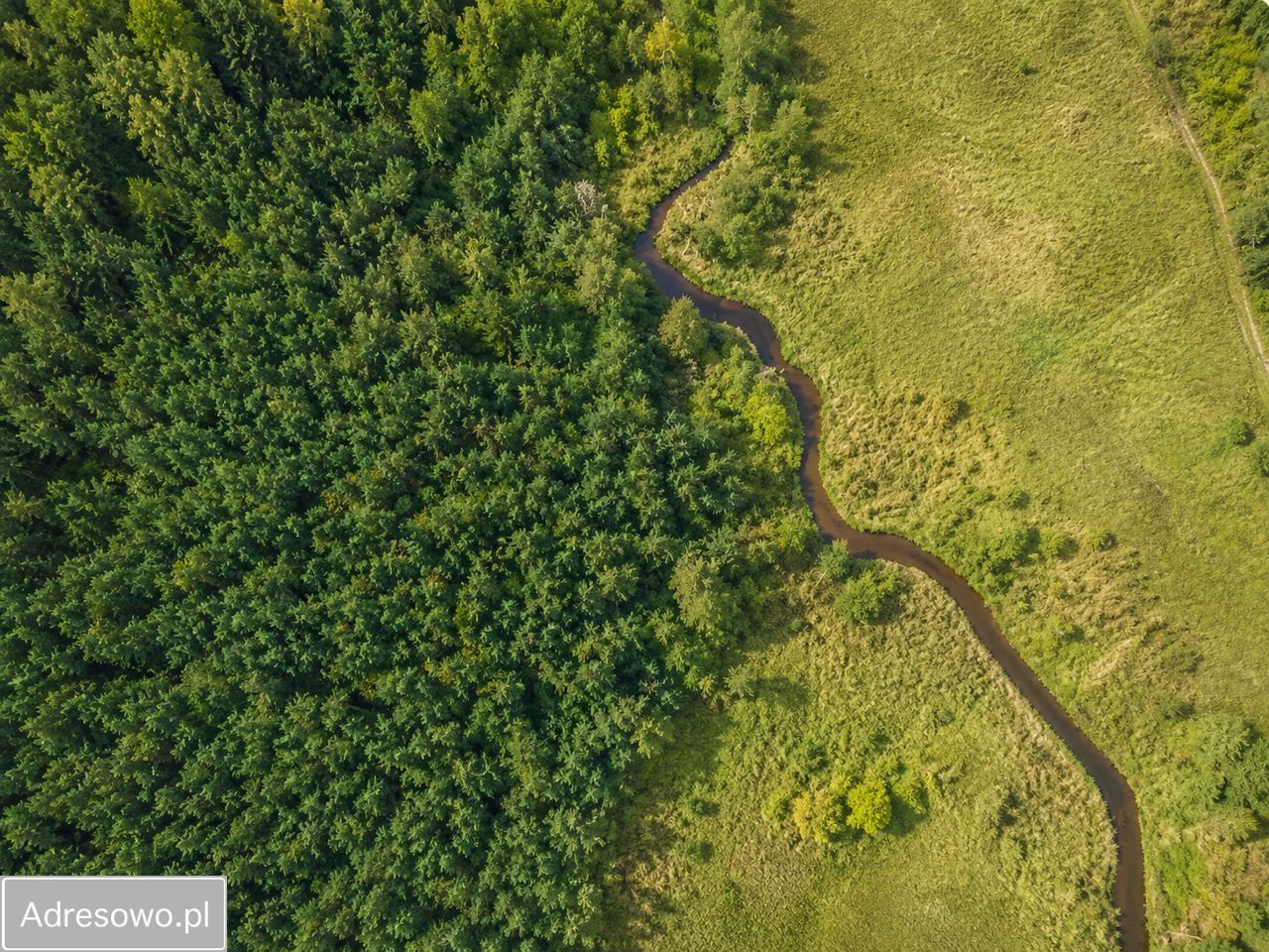 Działka rolno-budowlana Gamratka. Zdjęcie 11