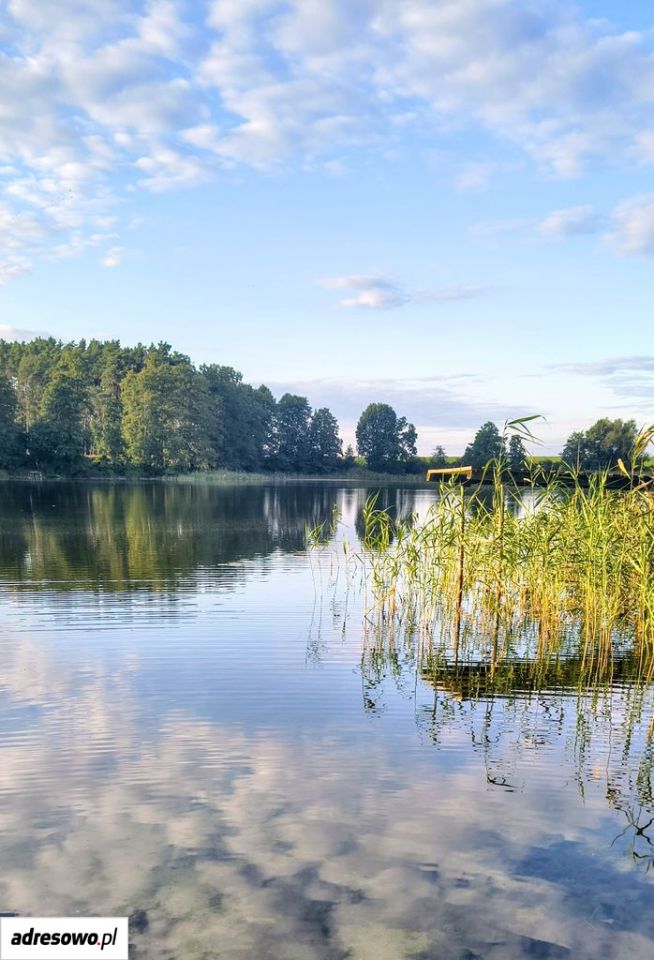 dom wolnostojący, 2 pokoje Orliczko. Zdjęcie 11