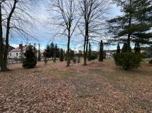 Nieruchomość komercyjna Zaniemyśl. Zdjęcie 4