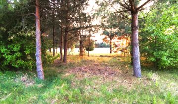 Działka rolno-budowlana Siemianówka Maruszka, ul. Łabędzia